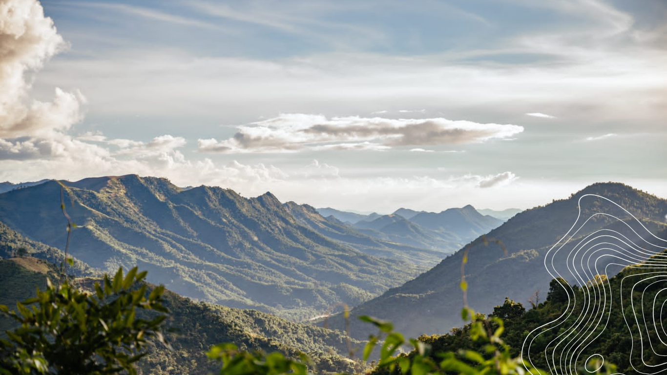 Tout ce qu'il faut savoir sur les voyages